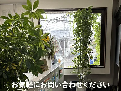 株式会社ソレイユ
